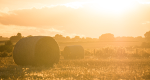 KEEPING CHILDREN SAFE – ‘FARMS ARE WORKPLACES NOT PLAYGROUNDS’