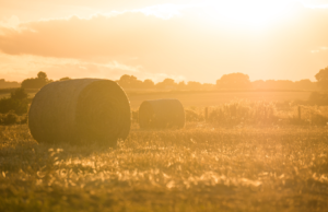 KEEPING CHILDREN SAFE – ‘FARMS ARE WORKPLACES NOT PLAYGROUNDS’