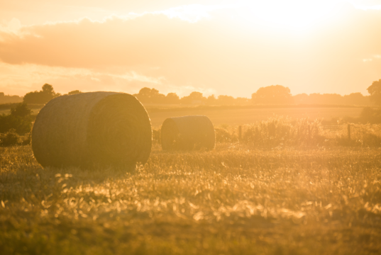 KEEPING CHILDREN SAFE – ‘FARMS ARE WORKPLACES NOT PLAYGROUNDS’